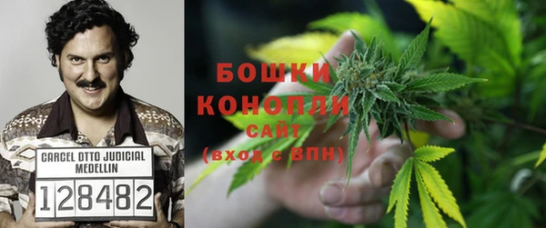 прущая мука Белокуриха