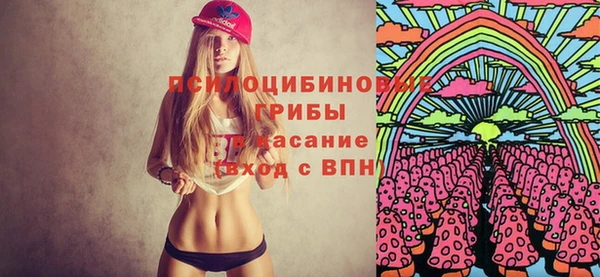 ГАЛЛЮЦИНОГЕННЫЕ ГРИБЫ Белоозёрский