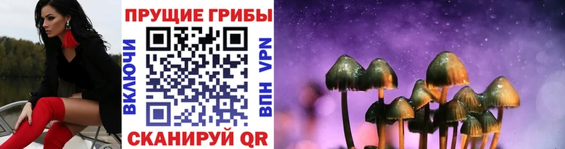Купить где Буй Галлюциногенные грибы ЛСД